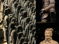 -秦始皇帝陵博物院(兵马俑)