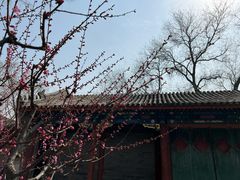 -恭王府博物馆