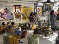 -平行世界·猫咖(首经贸店)