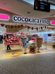 -cocokarafine可开嘉来
