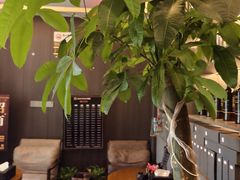 -鹿栖.精油SPA(金山世纪城店)