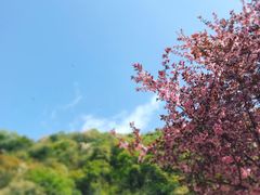 -少华山国家森林公园
