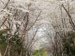 -河南工业大学(莲花街校区)