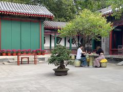 -宫事颐庭·老佛爷贵寿下午茶(颐和园店)