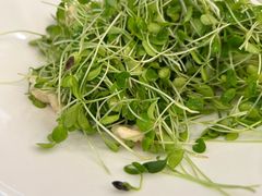 -鸿运楼烤鸭店(天桥店)