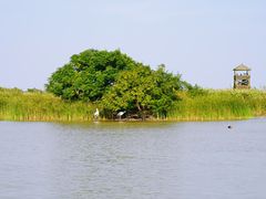 -盐城丹顶鹤湿地生态旅游区