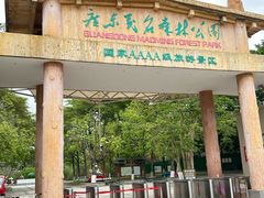 -广东茂名森林公园