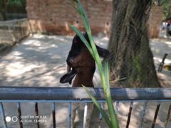 -广东茂名森林公园