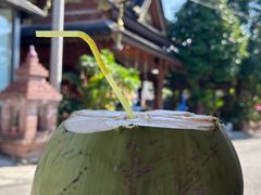 -西双版纳傣族园