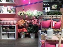 -宜家家居(西安未央商场店)