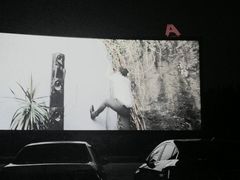 -枫花园汽车电影院(朝阳公园店)