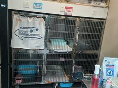 -瑞派宠物医院·犬猫全科·猫友好(宾水西道店)