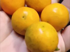 -紫光园·烤鸭·北京菜(前门大栅栏店)