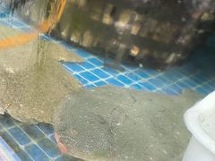 -东海章鱼馆(恒瑞街店)