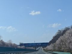 -沣峪口