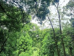 -忠山公园