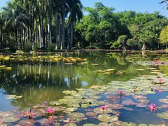 -中国科学院西双版纳热带植物园