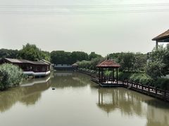 -宏泰园蔬果专业合作社