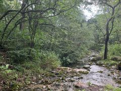 -玉渡山自然风景区