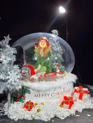 -米莱摄影写真(五大道别墅店)