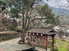 -塔川景区