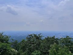 -紫金山山顶公园