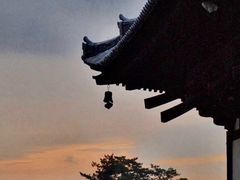 -奈良公园