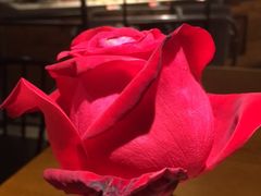 -比格比萨自助(花园路店)