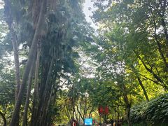 -越秀山游泳场
