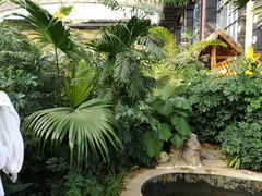 -郑州银基黄帝宫御温泉