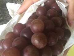 -马陆小张葡萄园农家乐