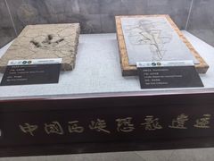 -中国西峡恐龙遗迹园