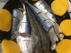 -宾朋海鲜特色美食餐厅·纯手工鲅鱼水饺(兴海路店)