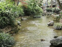 -黄龙溪古镇
