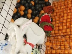 -机械师超级密室(小寨华旗店)