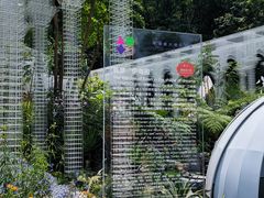-深圳仙湖植物园-停车场