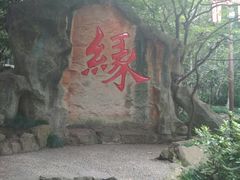 -杭州黄龙洞