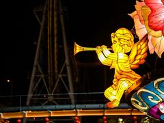 -锦江乐园舞狸花花游园会(夜场专享)
