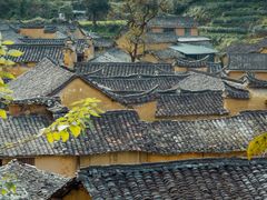 -杨家堂村