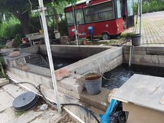 -北京龙庆四季香农家饭庄·灶台鱼·碳烤虹鳟鱼(龙庆峡店)