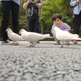 森林公园二刷