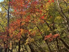 -关门山森林公园