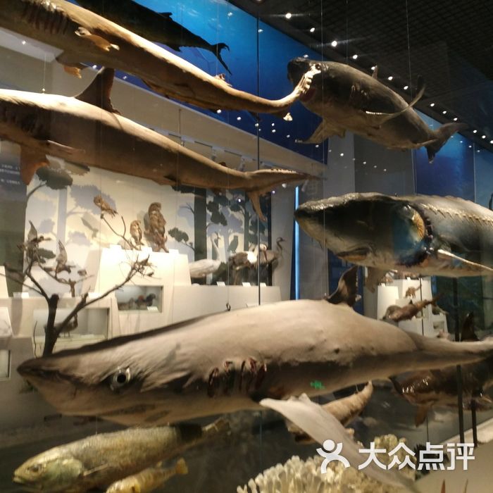 舟山博物馆图片-北京博物馆-大众点评网