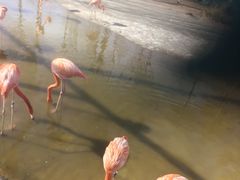 -鄂尔多斯野生动物园