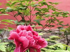-北京市劳动人民文化宫(太庙)