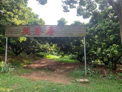 -东莞植物园