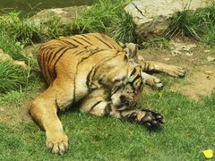 -北京野生动物园