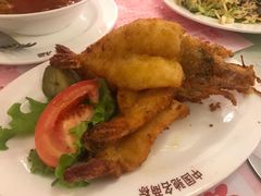 -华梅西餐厅(哈尔滨中央大街店)