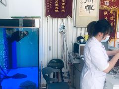 -邢大夫动物医院