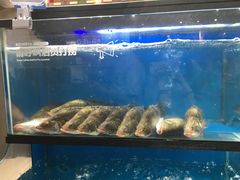 -盒马鲜生(曜一城店)